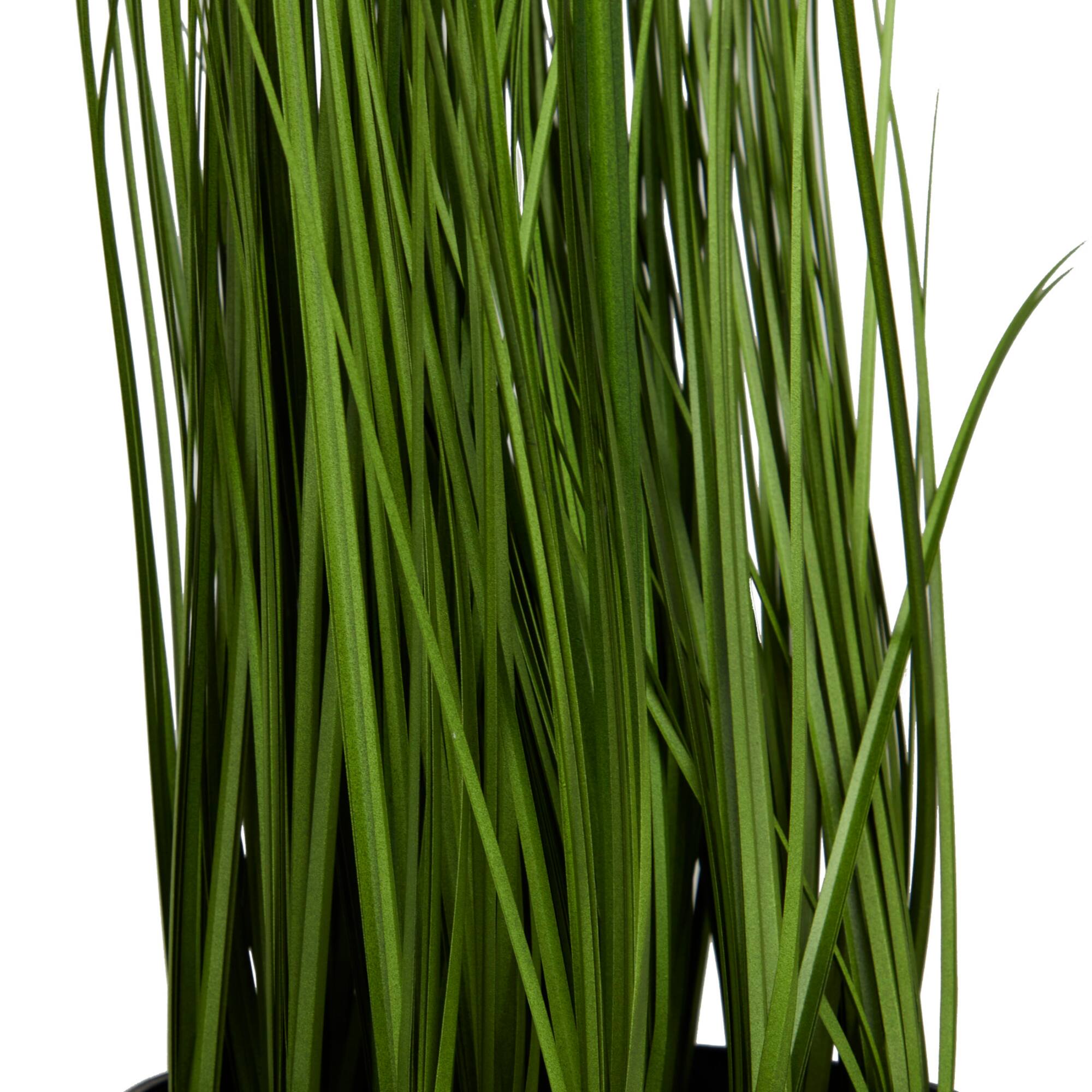 21" Black Contemporary Floral & Botanical Artificial Foliage